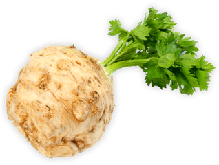 Celery Root Herbal Liqueur - Coriander Png