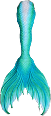 Mermaid Scales Png - Transparent Mermaid Tail Png