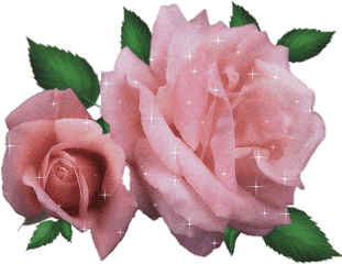 Sparkle Rose Gif - Gif Animados De Rosas Png