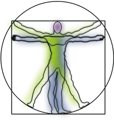 Vitruvian Man - Vitruvian Man Clipart Png