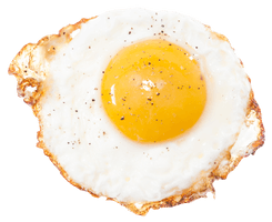 Fried Egg Free Download PNG HD