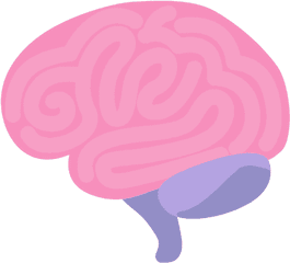 Brain Human Organ - Transparent Png U0026 Svg Vector File Cerebro Png