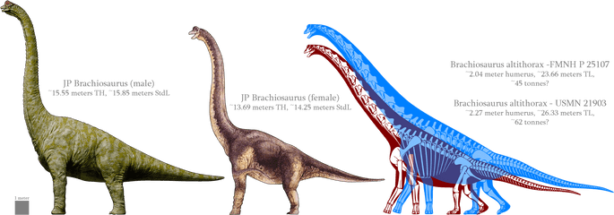 Download Jp Brachiosaur Vs Rl Png Brachiosaurus