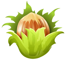 Vector Hazelnut Free HQ Image - Free PNG