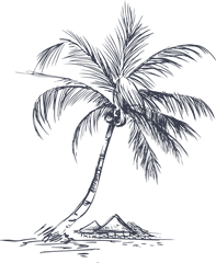 White Palm Tree Png - Drawing Detail Palm Tree Coconut Palm Tree Line Drawing