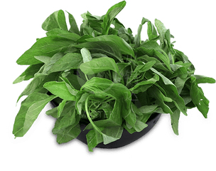 Baby Spinach 150g - Houseplant Png