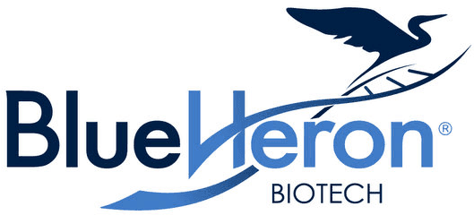 Blue Heron Biotech Llc - Gene Synthesis Custom Dna Blue Heron Png