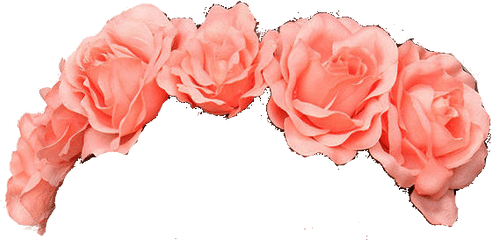 Flower Crown Transparent Tumblr - Flower Crown Png