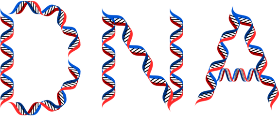 Dna Learning Center Archives - Page 2 Of 7 Cold Spring Genetics For Kids Png