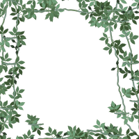 Frame Green Christmas PNG Download Free