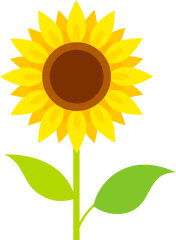 Sunflower Clipart Free Download Transparent Png Creazilla - Transparent Background Sunflower Clipart