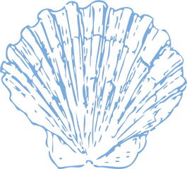 Scallop Png Svg Clip Art For Web - Download Clip Art Png Blue Shell Clipart