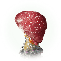 Red Skirt Poison Mushroom - Bdo Red Skirt Poison Mushroom Png