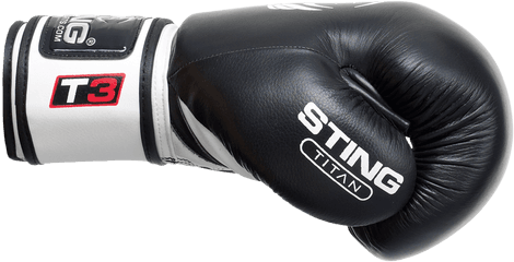 Titan Leather Boxing Gloves - Black Boxing Gloves Png