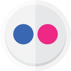 Flickr Logo Online Sharing - Dot Png