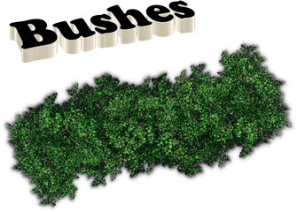 Bushes Png Images - Portable Network Graphics