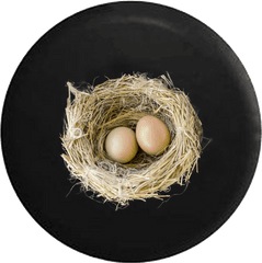 Birds Nest With Baby Bird Eggs - Bird Nest Transparent Png