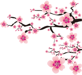 Sakura Png - Sakura Png