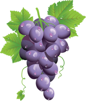 Grape Png Image