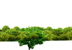 Tree Green Forest Free Clipart HQ - Free PNG