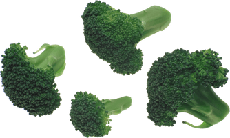 Broccoli Png Image