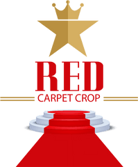 Red Carpet Crop - Black Star Symbols Png