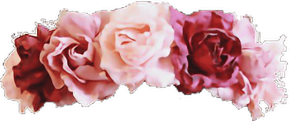 Flower Crown Overlays Picsart - Poop Emoji With Flower Crown Png