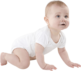 Infant Child Crawling - Baby Crawling Png