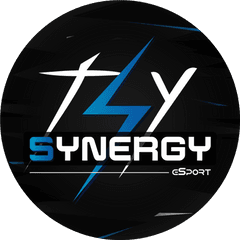 Team Synergy - Language Png