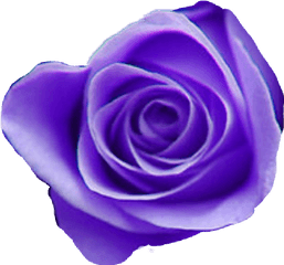 Tumblr Purple Aesthetic Purpleaesthetic - Purple Flower Tumblr Png