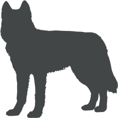 Dog Silhouette Posing Ears Up - Transparent Png U0026 Svg Vector Vector Dog Silhouette Png