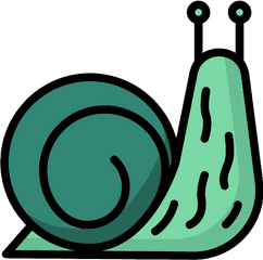 Snail Png Icon - Clip Art