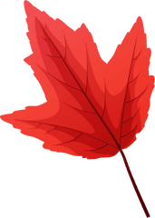 Red Maple Late Autumn Leaf Clipart Free Download - Clipart Autumn Leaf Png