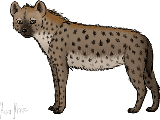 Hyena Png Alpha Channel Clipart Images - Hiena Animada Png