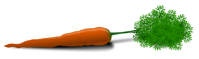 Carrot Png Image
