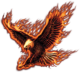 Download Jpg Black And White Library Flying Fire Eagle - Transparent Fire Eagle Png