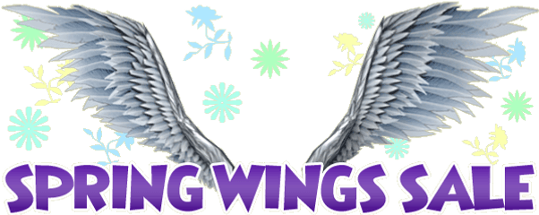 Wings Sale - Language Png