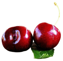 Cherry Png File