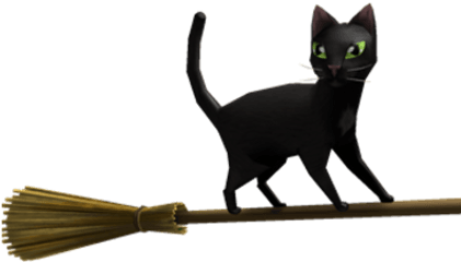 Magic Broom Black Cat - Black Cat Png