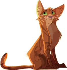 Kitten Whiskers Cat Illustration - Cat Png