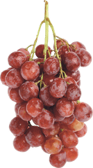 Png Clipart Transparent Background - Red Grapes No Background
