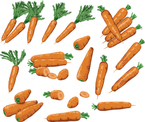 Carrots Png Image - Carrot