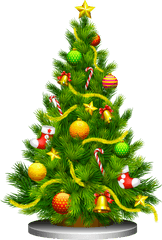 Festive Christmas Tree Png Image - Christmas Tree Png Hd