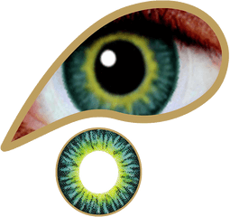 Amazon Green Contact Lenses Colored Contacts - Mesmereyez Golden Brown Png