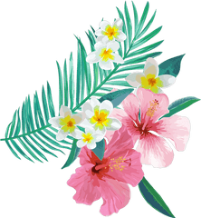 Download Tropical Leaves Flowers Plants - Floral Png