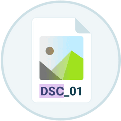 Get Dsc Auto Rename Apk App For Android - Vertical Png