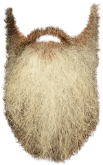 Beard Png Transparent - White Beard Transparent Background