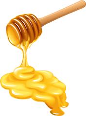 Honey Bee Honeycomb - Honey Bee Honey Bee Honey Vector Png