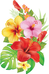 Moana Flowers Clipart - Tropical Flowers Png