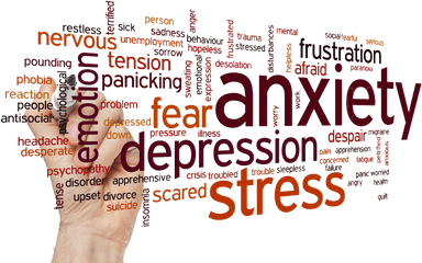 Download Hd Anxiety Stress Transparent Png Image - Nicepngcom Different Words For Worry